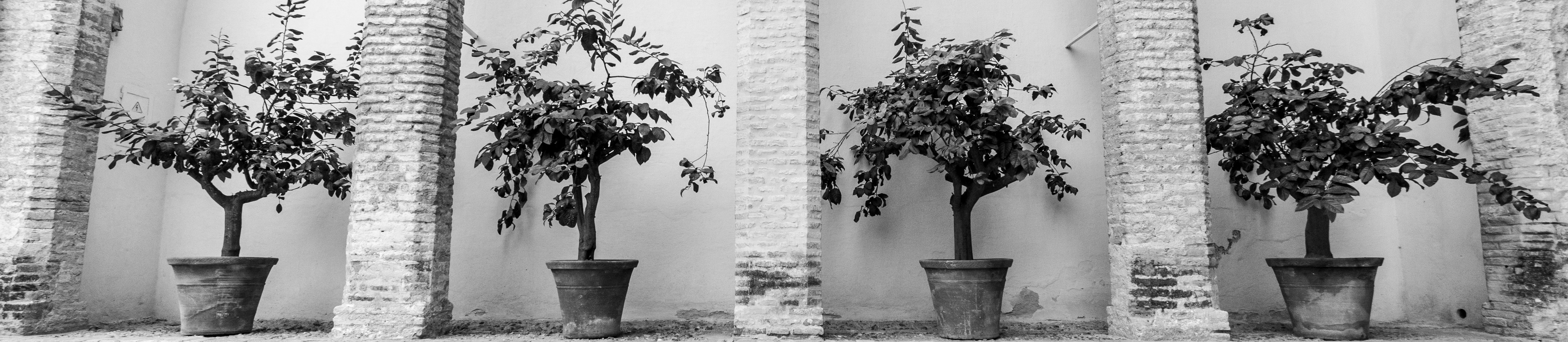 Contact page showcase