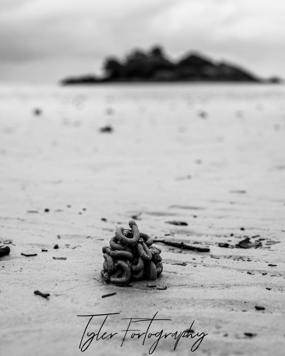 Beach Pile