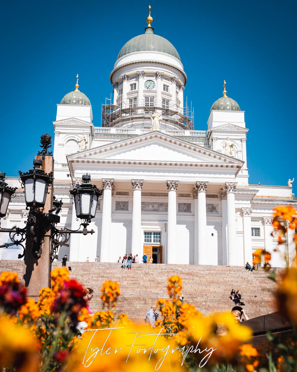 Blooming Cathedral