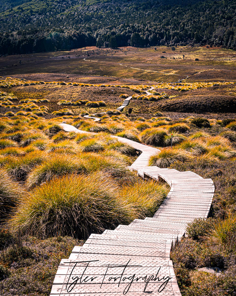 Bush Path