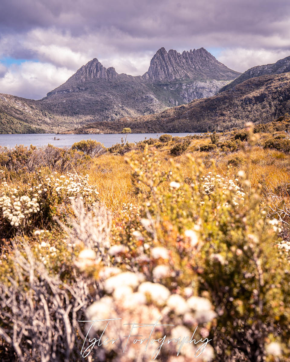 Cradle Mountain