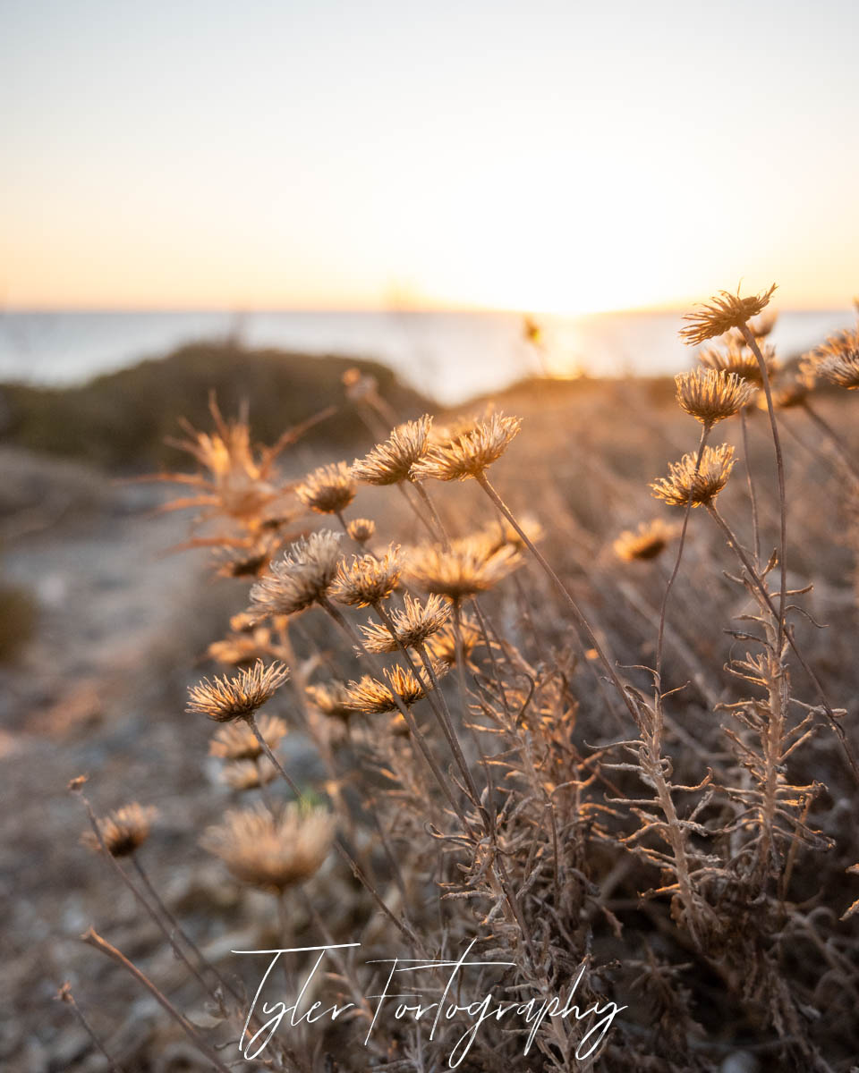 Crete Sunset