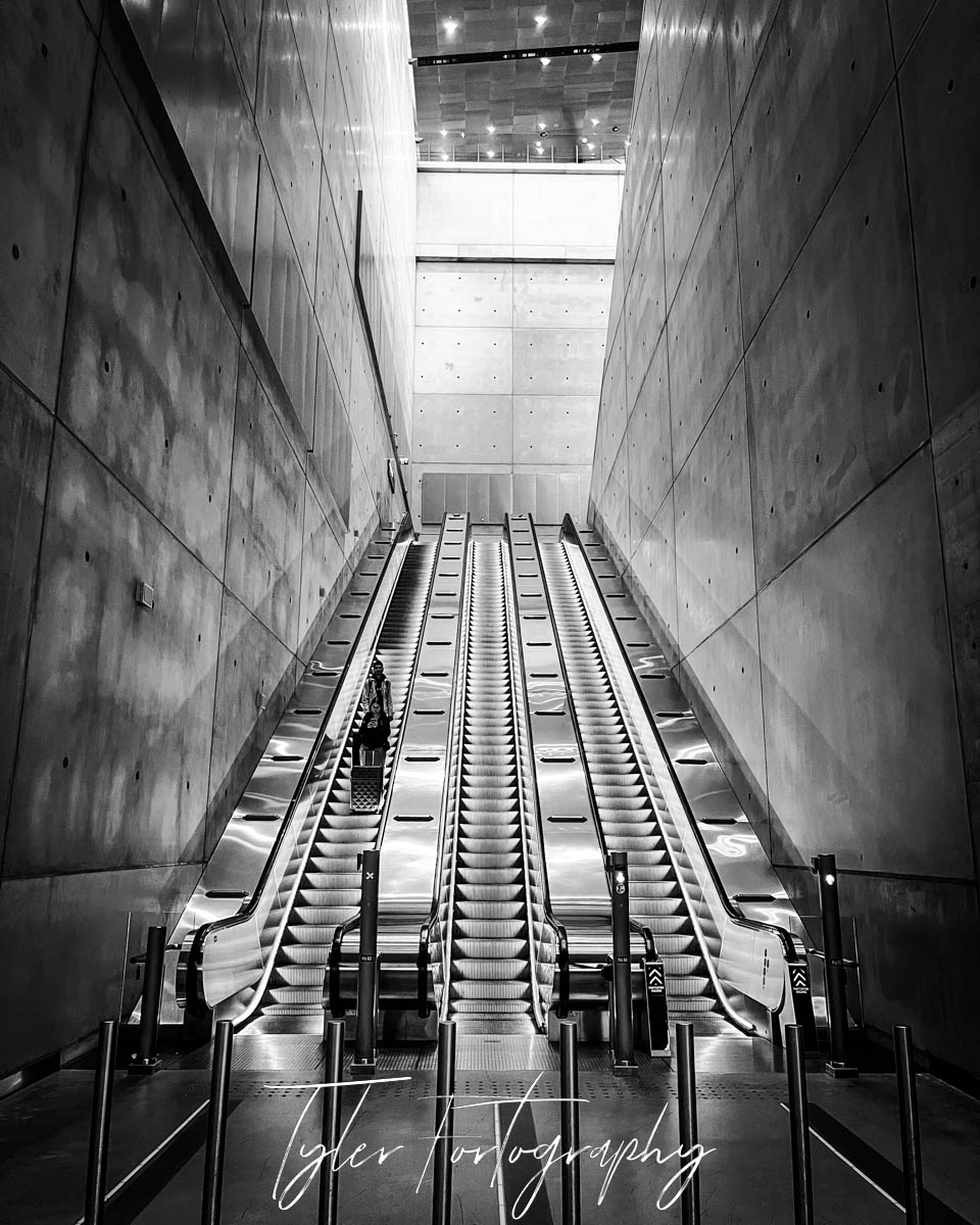 Metro Vision