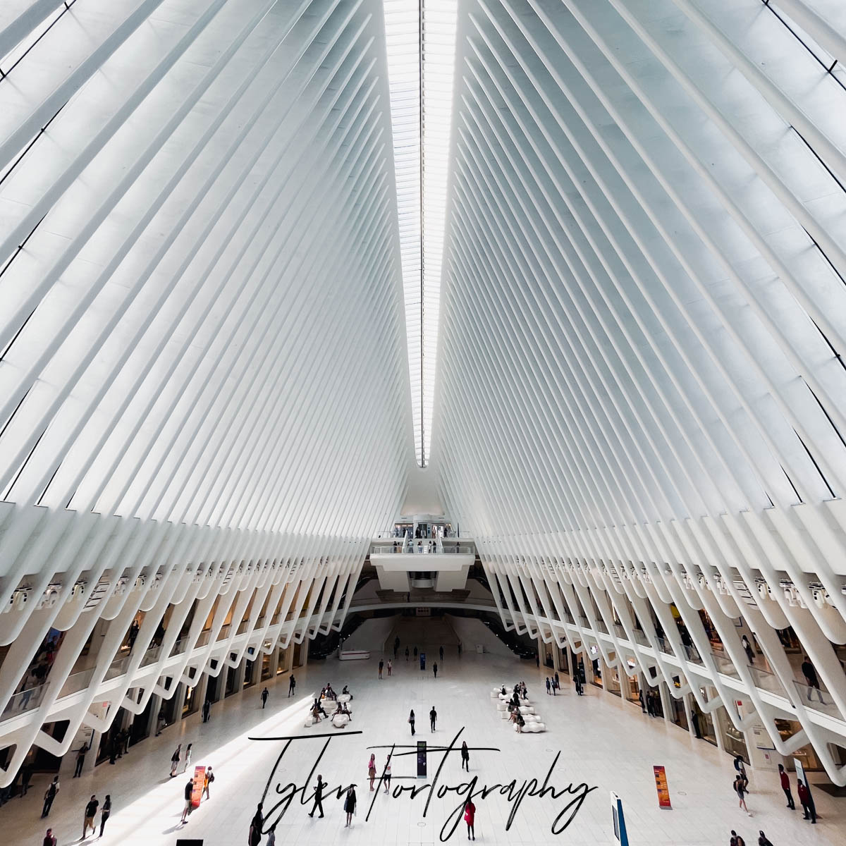 Oculus
