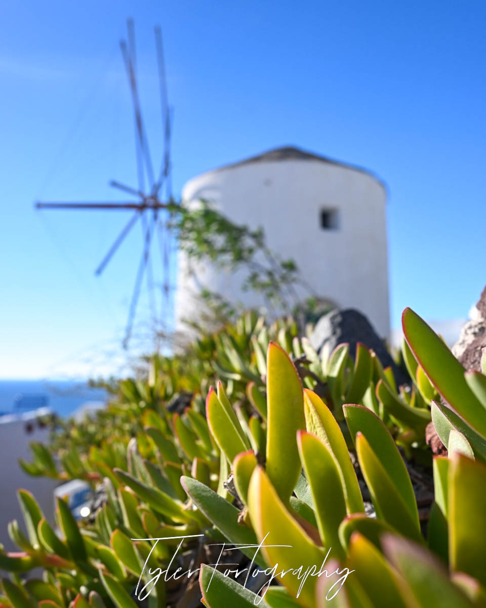 Windmill View