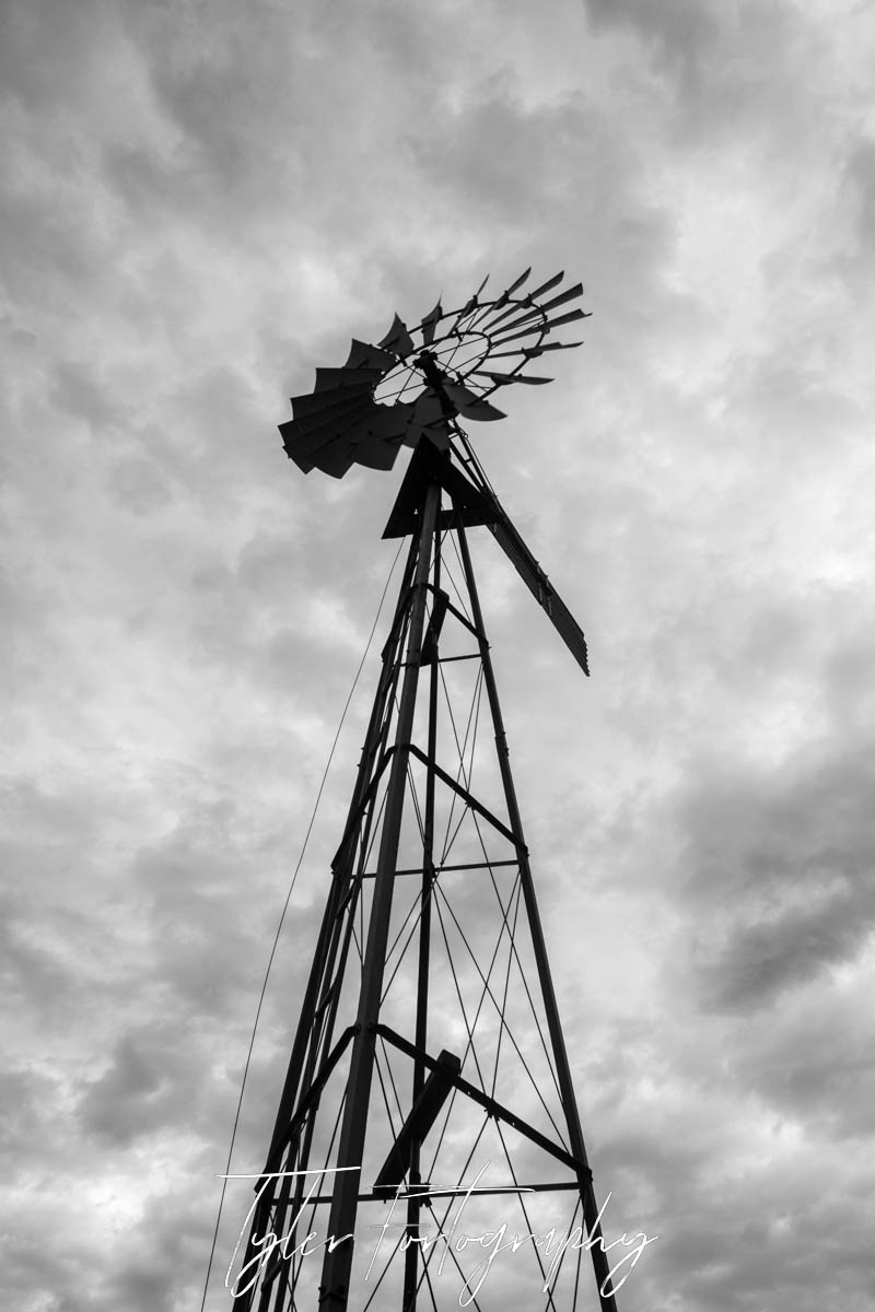 Windmill